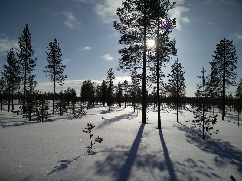 finlande_2017-03-03_12-49-12.jpg