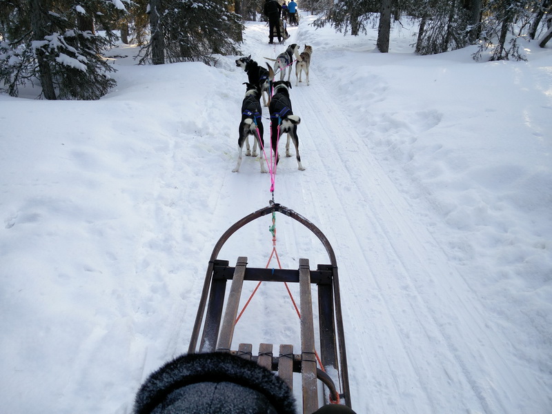 finlande_2017-03-04_10-26-15.jpg