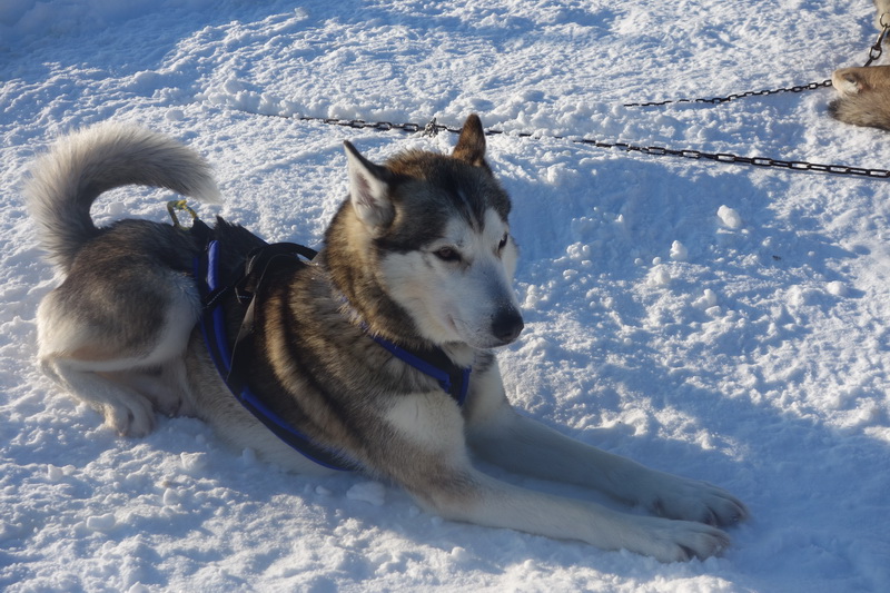 finlande_2017-03-04_10-47-38.jpg