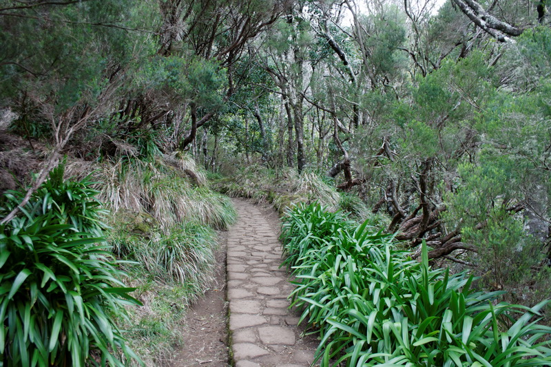 madeira_2013-04-07_17-54-30.jpg