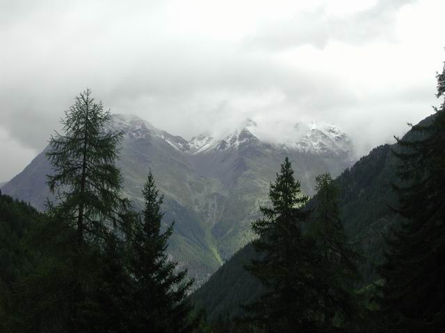 suisse40.jpg
