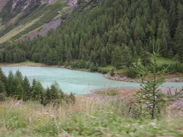 suisse41.jpg