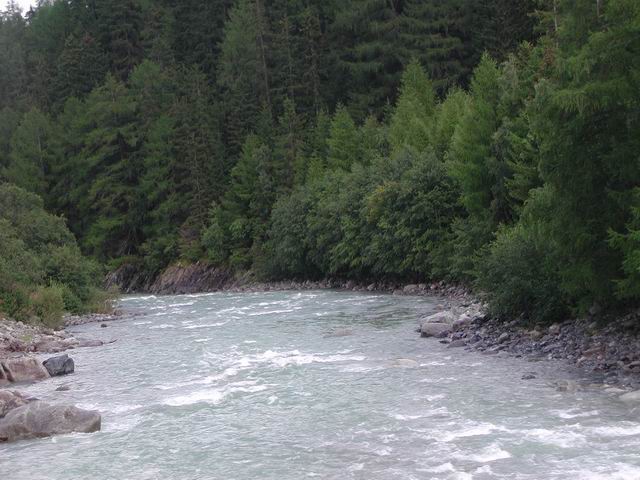 suisse58.jpg