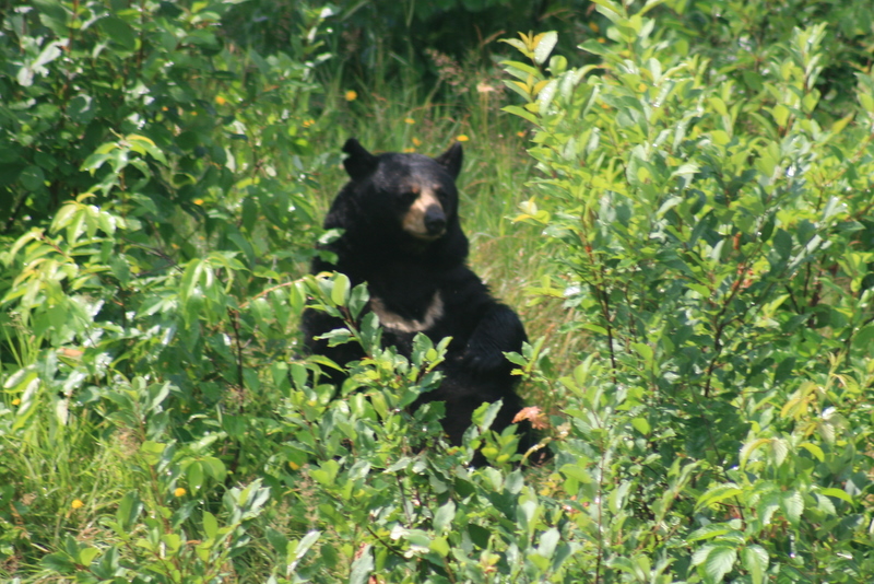 indian-river_2011-07-18_10-55-44.jpg