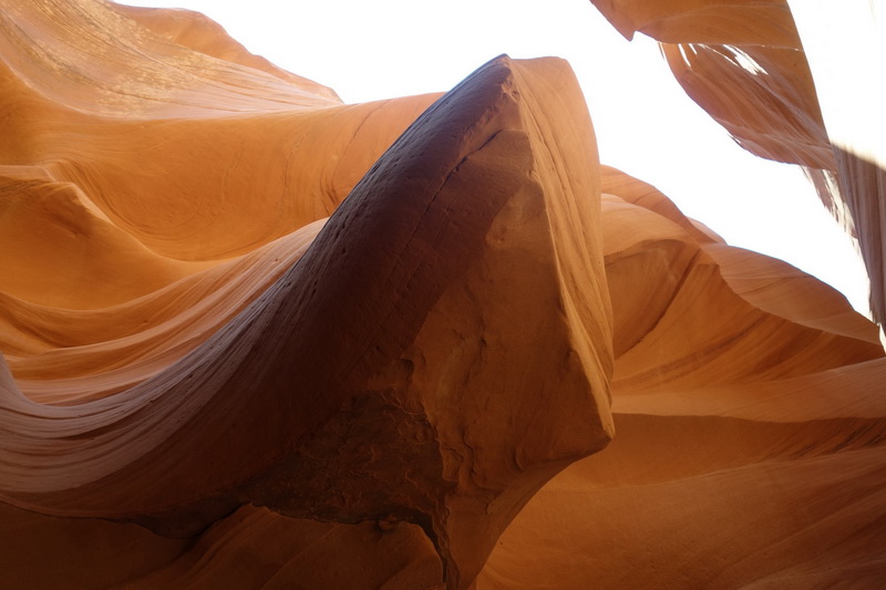 usa-2015-0323.jpg
