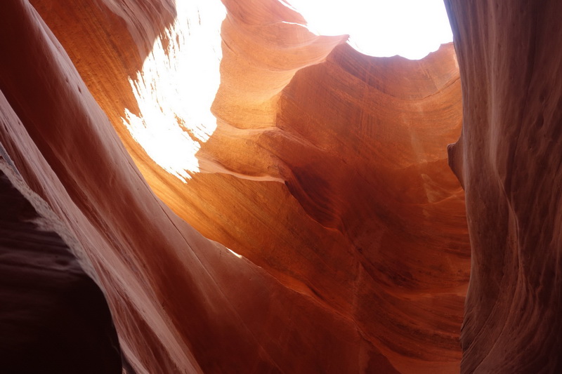 usa-2015-0332.jpg