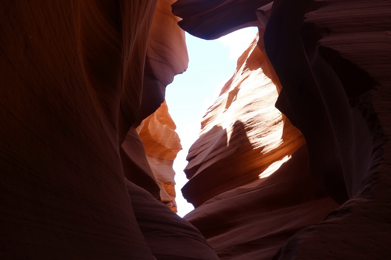 usa-2015-0339.jpg