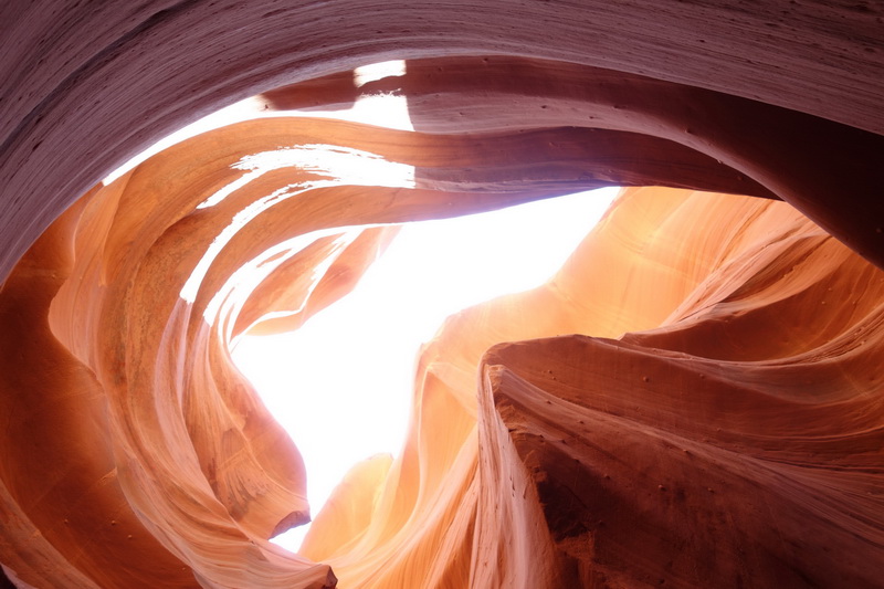 usa-2015-0347.jpg