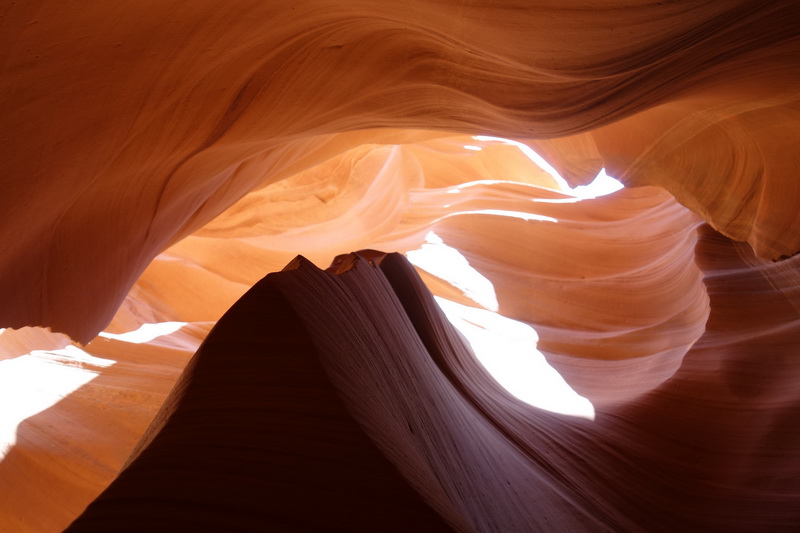 usa-2015-0354.jpg