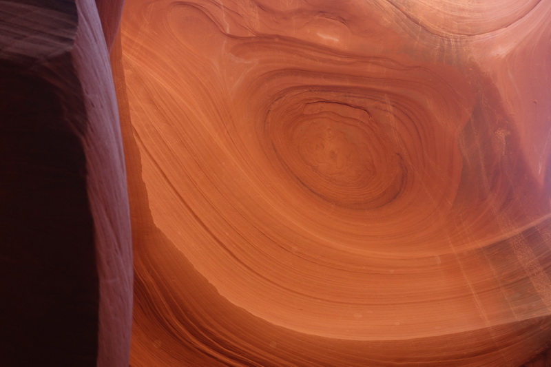 usa-2015-0397.jpg