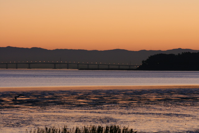 sko09sfo61.jpg