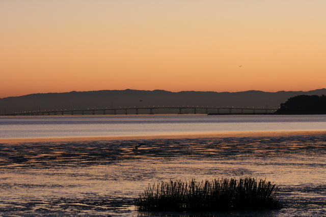 sko09sfo65.jpg