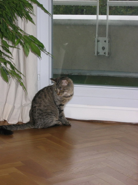 belly0105.jpg
