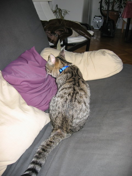 belly0117.jpg
