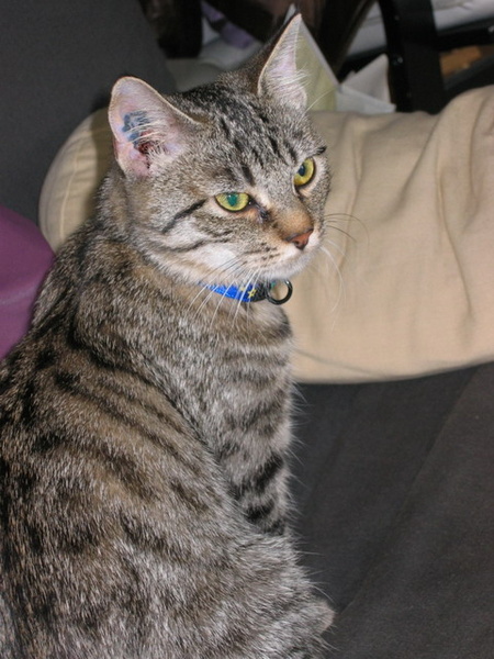 belly0118.jpg