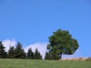 Montagne bourbonnaise