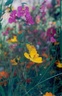 fleurs004