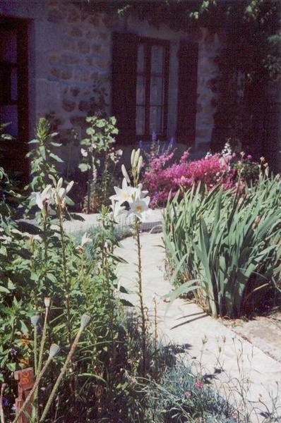 lachaux_misc0012.jpg