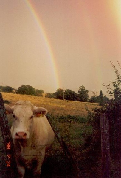 lachaux_misc0085.jpg