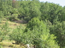 cathares 13-08-2005 09-50-25 k