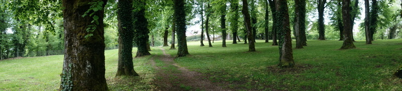 franche-comte_2018-05-09_11-04-40.jpg
