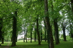 Clairvaux-les-Lacs