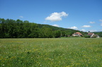 Verdure