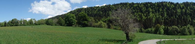 franche-comte_2018-05-11_14-16-46.jpg