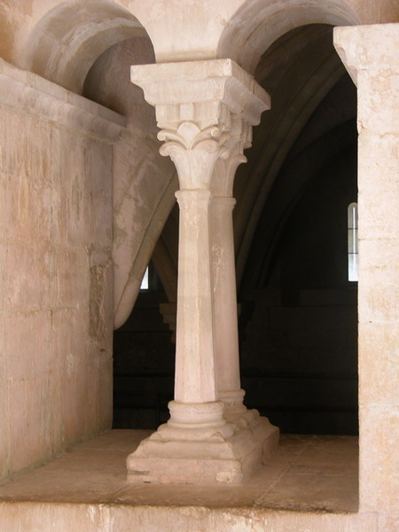 senanque50.jpg