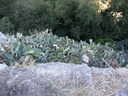 gordes31