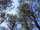 roussillon47