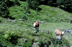Autriche