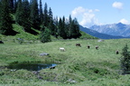 Autriche