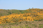Old Mines