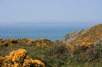 Old Mines
