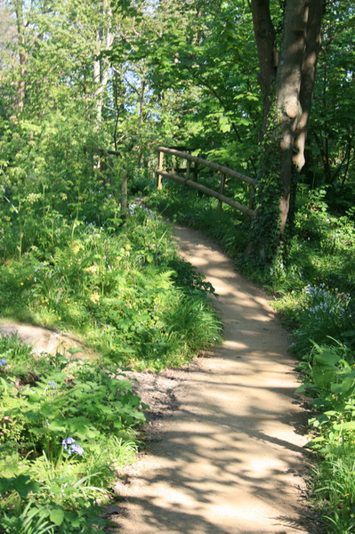 sark_102.jpg