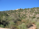 portugal282