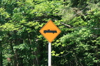 Oscoda