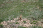 Parc national de Bryce Canyon