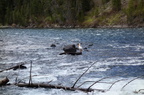 Parc national de Yellowstone