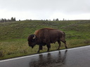 Parc national de Yellowstone
