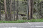 Parc national de Grand Teton