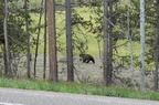 Parc national de Grand Teton