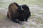 Parc national de Yellowstone