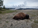 Parc national de Yellowstone