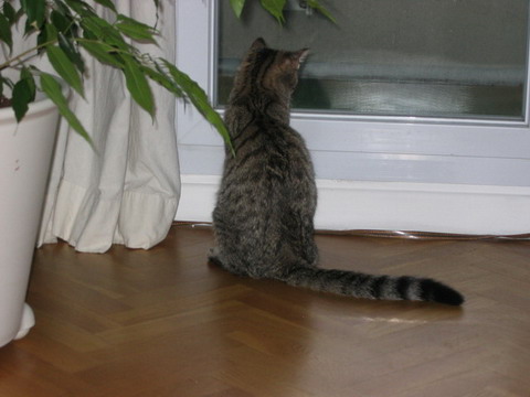 belly0094.jpg