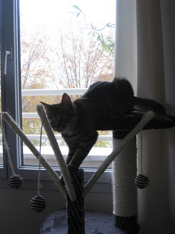 belly0102.jpg