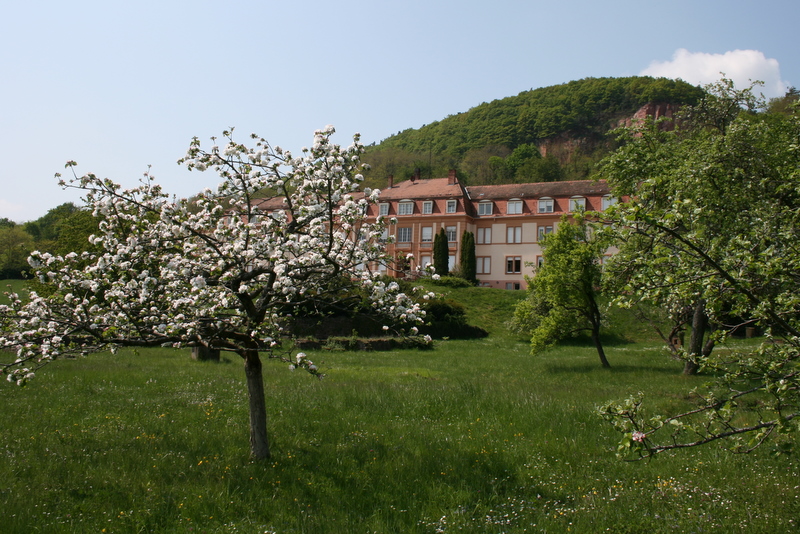 2009-05-01_12-54-06_abbaye_de_marbach.jpg