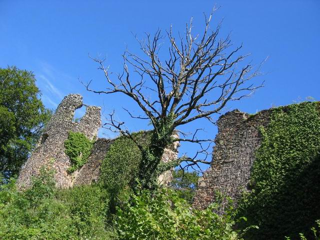 auvergne_030.jpg