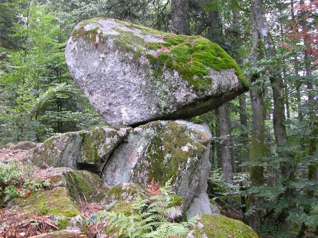 auvergne_083.jpg